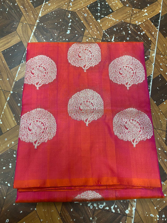 Venkatgiri Pure Silk Saree