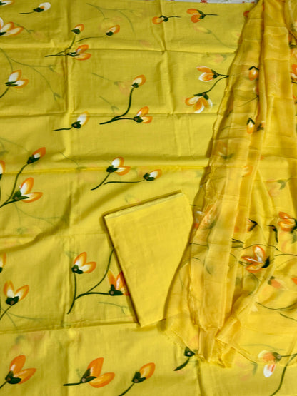 Cotton Hand Painted Dress Material with Chiffon Dupatta