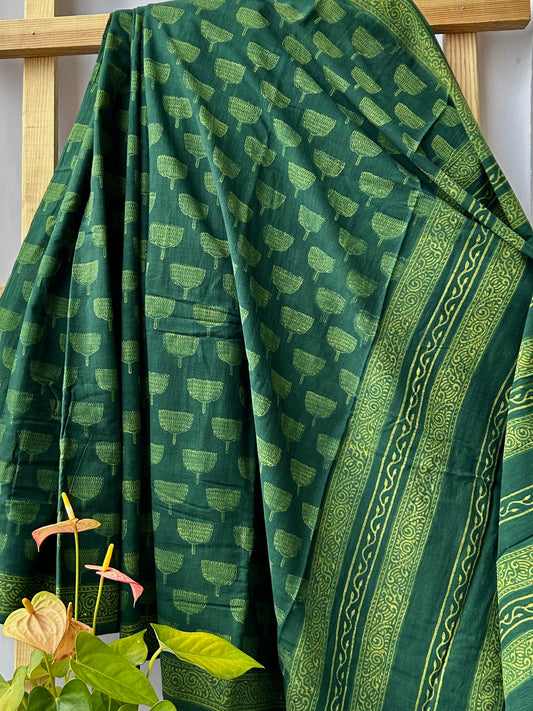 Akola Hand BlockPrint Mal Cotton Saree with Blouse