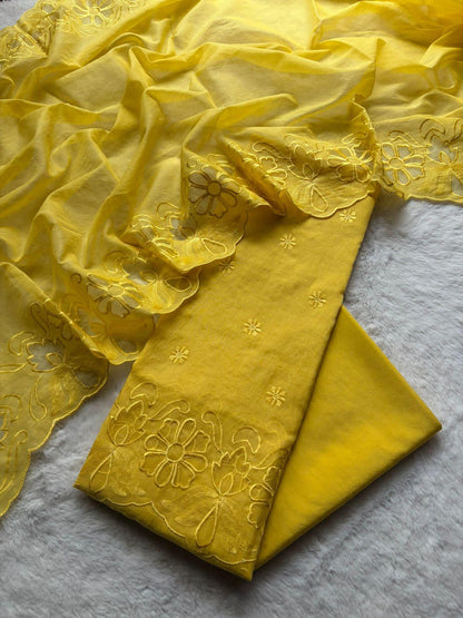 Applique Work Banarsee Dress Material