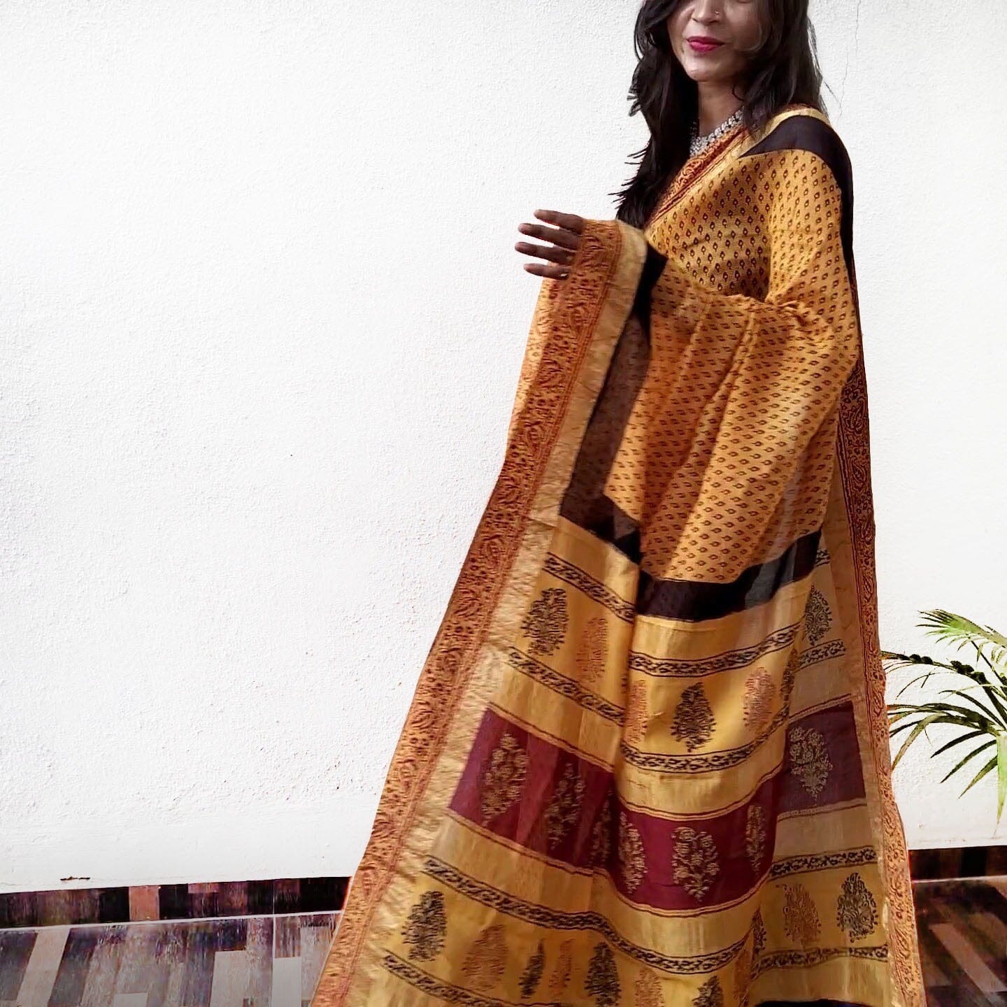 Bagh Printed * Maheshwari & Chanderi Sarees-blog